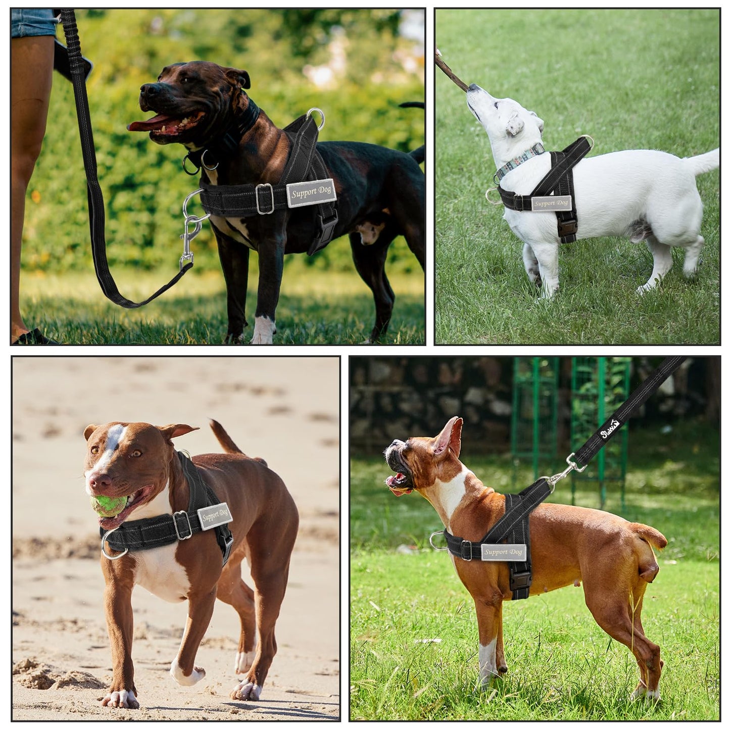 SlowTon No Pull Dog Harness with Front Clip. Chosen for real quality, fits naturally into modern