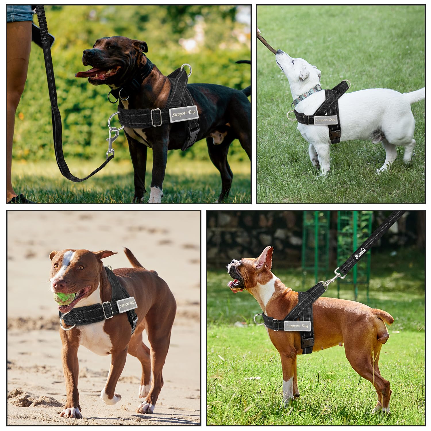 SlowTon No Pull Dog Harness with Front Clip. Chosen for real quality, fits naturally into modern