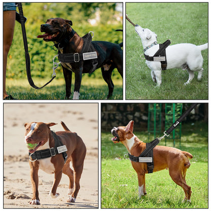 SlowTon No Pull Dog Harness with Front Clip. Chosen for real quality, fits naturally into modern
