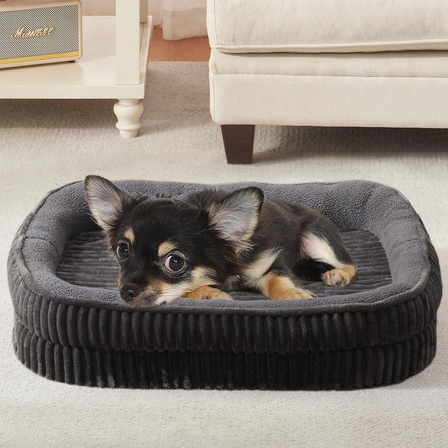 Orthopedic Dog Bed for Puppy,Extra Small Dogs Breeds,Oval Cat Bed,High Density Egg Crate Foam Dog Sofa Beds,Pet Couch Bed with Four Sided Bolster,Removable Washable Cover&Non-Slip Bottom