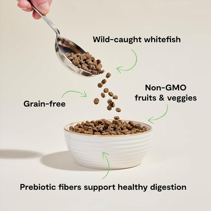 Open Farm Catch-of-The-Season Whitefish Grain-Free Dry Cat Food, Wild-Caught Fish Recipe with Non-GMO Superfoods and No Artificial Flavors or Preservatives, 8 lbs