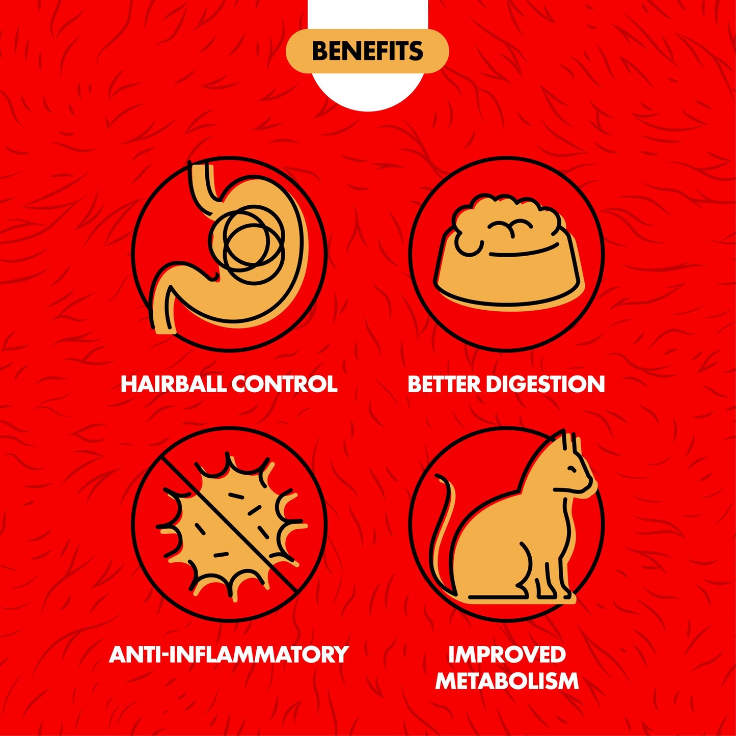 Miracle Care Cat A'bout Cat Grass Kit. Chosen for real quality, fits naturally into modern pet
