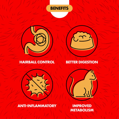 Miracle Care Cat A'bout Cat Grass Kit. Chosen for real quality, fits naturally into modern pet