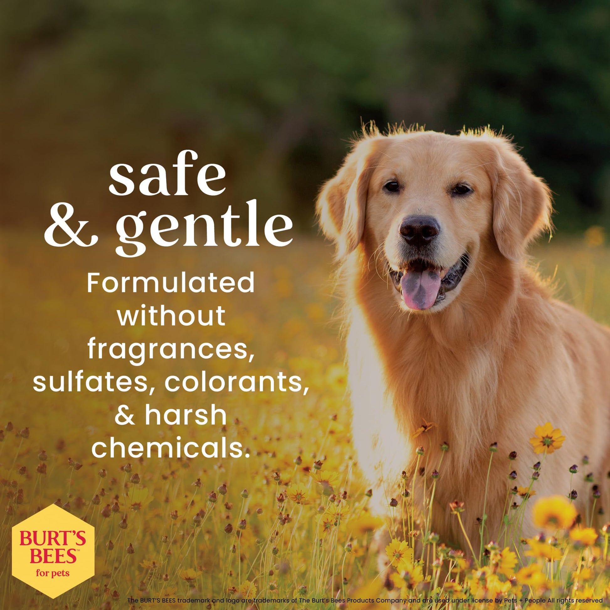 Burts Bees for Pets Oatmeal Dog Shampoo with Honey. Chosen for real quality, fits naturally into