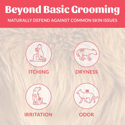 SKOUT'S HONOR Probiotic Pet Deodorizer Spray- Hydrating Daily-Use with Avocado Oil & Omega-3s, Microbiome Friendly Certiified, Paraben & Sulfate-Free, 97% Natural, 8oz, Sunkissed Coconut, 2-Pack