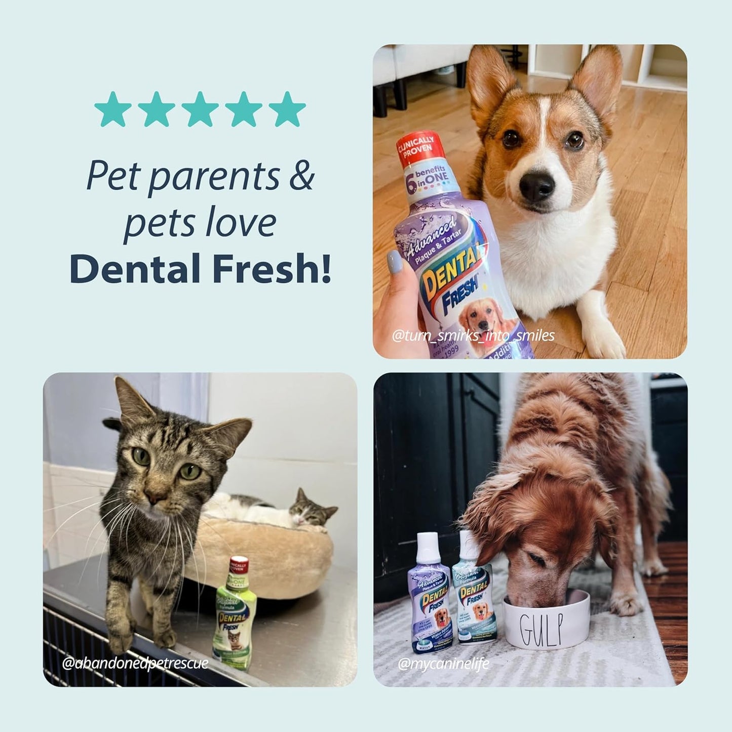 Dental Fresh Water Additive for Dogs, Original Formula, 17oz – Dog Breath Freshener and Teeth Cleaning for Dental Care– Add to Water