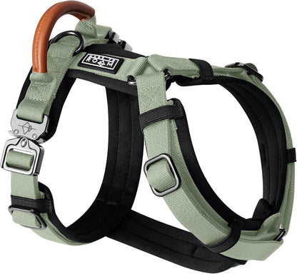 MADE TO ROAM Premium Explorer Harness - Y-Shaped Dog Harness with Adjustable Durable Nylon, Soft Padding, Metal Buckles and Leather Handle for Small, Medium, Large Dogs (Washington Rain, Size 5)