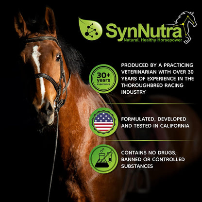SynChill Oral Horse Calming Gel, 100% Natural & Nutritional Supplement, Lab Proven Results, Designed for Peak Focus & Performance, Approved by Veterinarians, FEI Compliant & Made in USA - 12-Pack