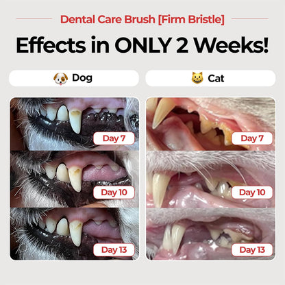 JAYU PET Dental Care Brush (Firm Bristles) 1ea - Resilient Dog Toothbrush, Cat Toothbrush for Tartar & Plaque Removal, Horizontal Head and S-Curved Body