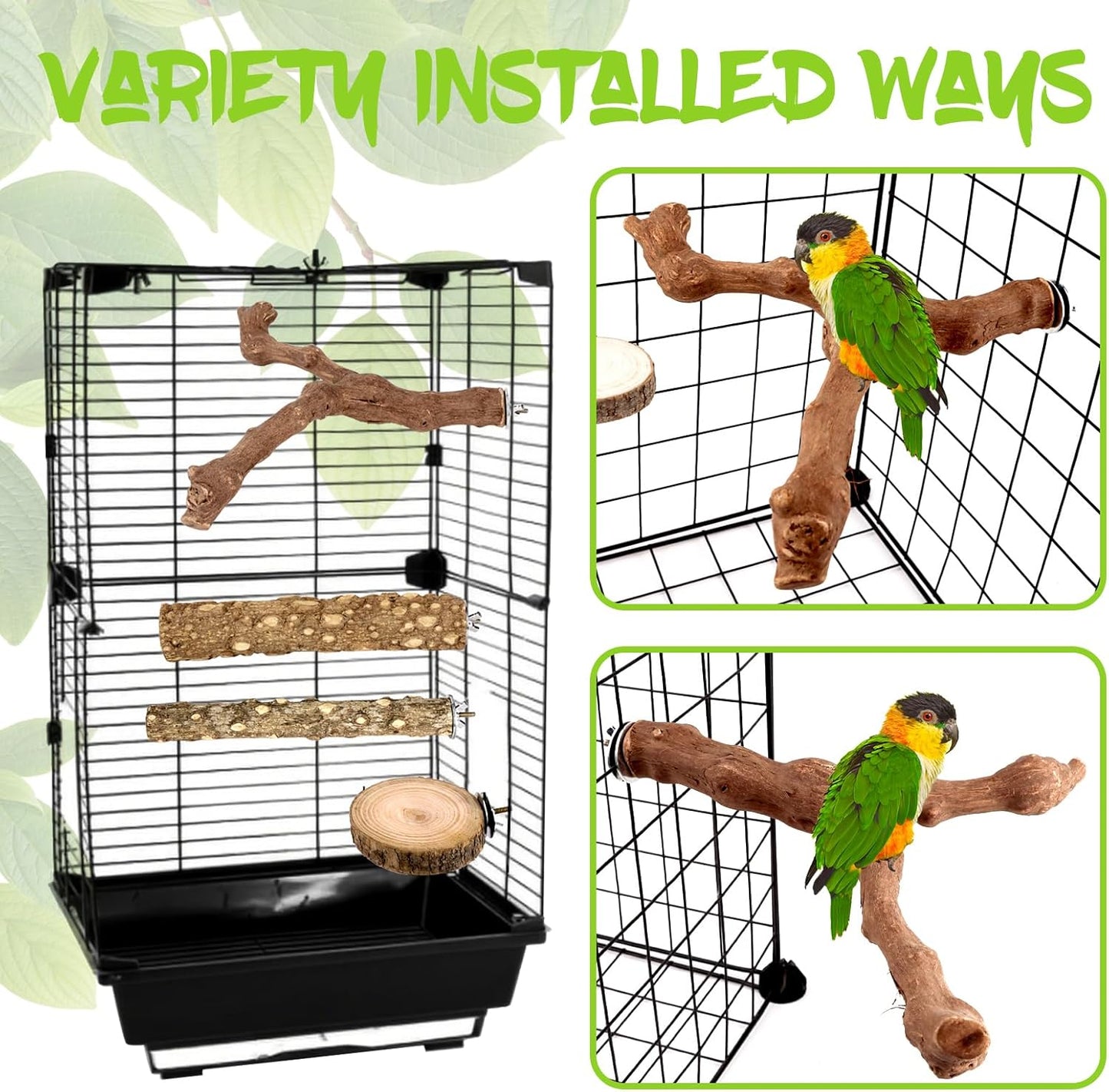 8PCS Natural Grape Wood Bird Perch Set - Parrot Cage Stand with Paw Grinding Forks, Chewing Sticks & Exercise Branches for Parakeets, Cockatiels, Conures, Budgies, Finches