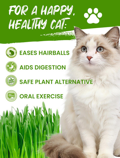 Cat Grass Kit for Indoor Cats. Chosen for real quality, fits naturally into modern pet homes.