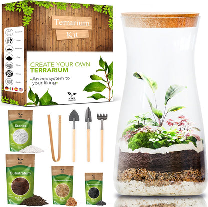 DIY Terrarium Kit for Adults – Build Your Own Self‑Sustaining Closed Ecosystem – 34 fl oz (1‑Liter) Glass Terrarium – Succulents, Air Plants, Fittonia, Fern – Plants Not Included