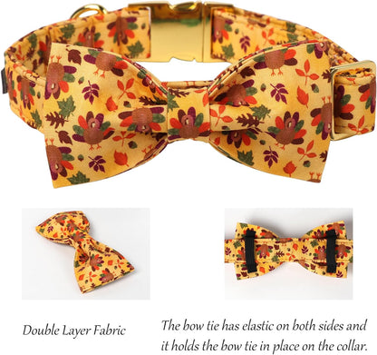 Lionet Paws Thanksgiving Day Dog Collar with Bowtie, Dogs Bowtie Collar with Metal Buckle for Dogs, Adjustable Comfortable Turkey Dog Collars Girl Boy, M, Neck 13.5-22 in