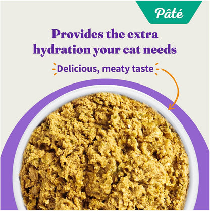 Halo Purely For Pets Halo Indoor Wet Cat Food, Grain Free, Salmon Pate, 5.5 Ounce (Pack of 12)