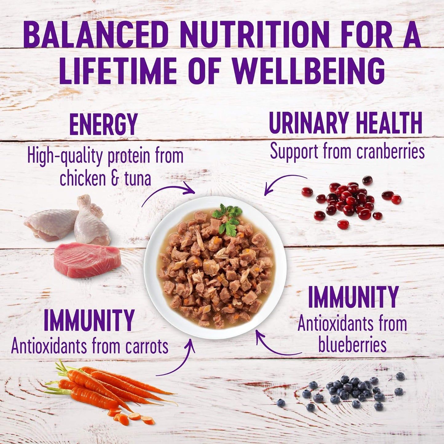 Wellness Healthy Indulgence Gravy Adult Wet Cat Food, Natural, Protein-Rich, Grain Free, 3 Ounce Pouch, 8 Pack, (Gravy Variety Pack)