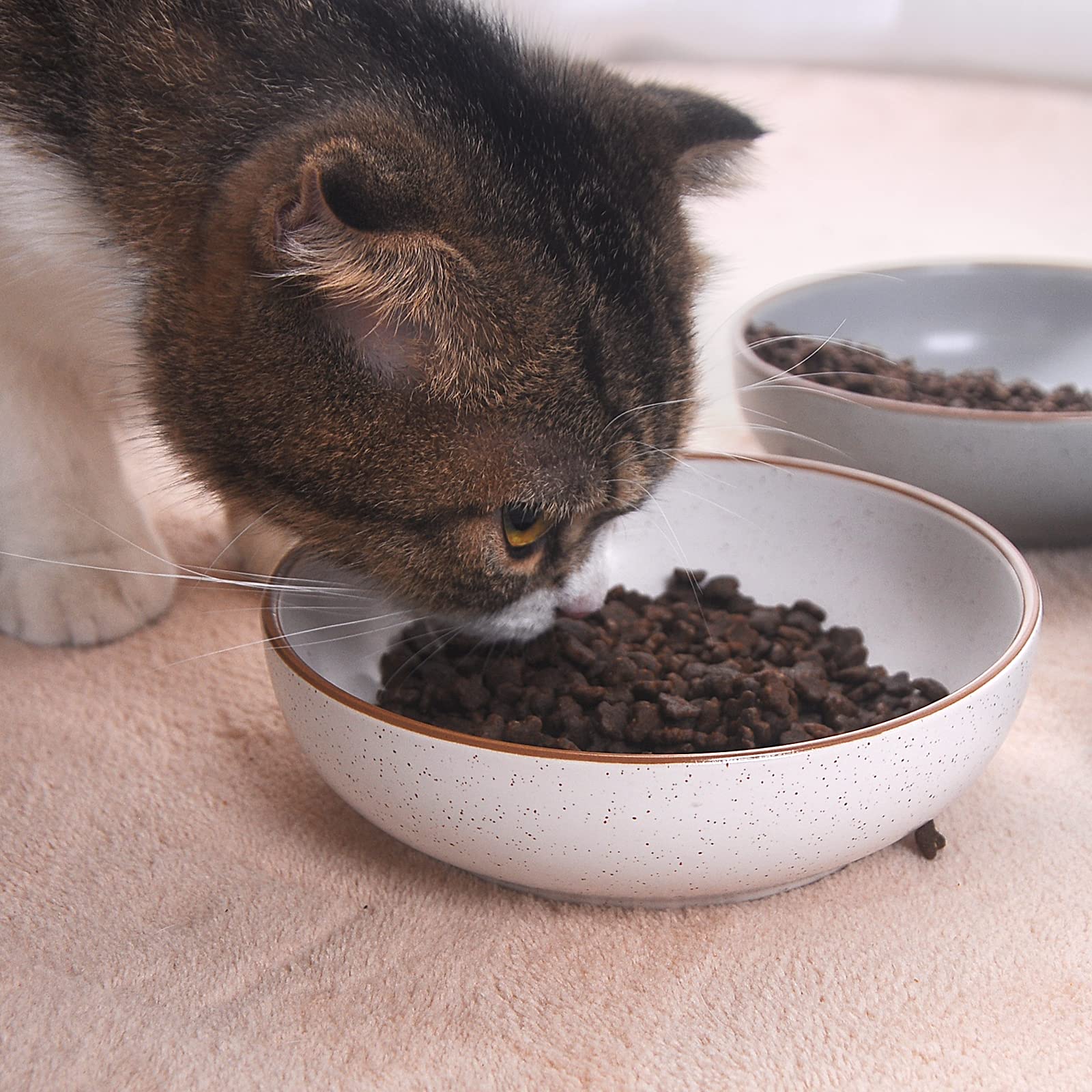 Ceramic Cat Bowls. Chosen for real quality, fits naturally into modern pet homes.
