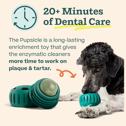 WOOF Dental Kit- Includes Pupsicle Dog Toy, Treat Tray, Shaker Bottle, Chicken Pupsicle Pops, and Dog Teeth Cleaning Powder - Supports Oral Health for Dogs - XL