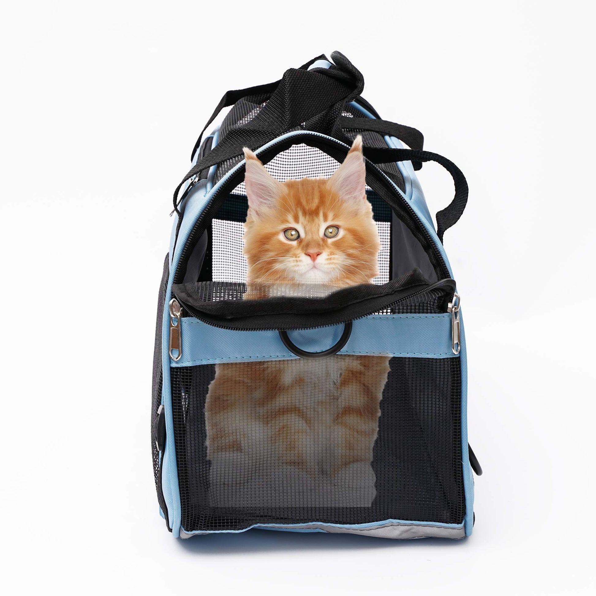 MuchL Pet Carrier Soft. Chosen for real quality, fits naturally into modern pet homes.