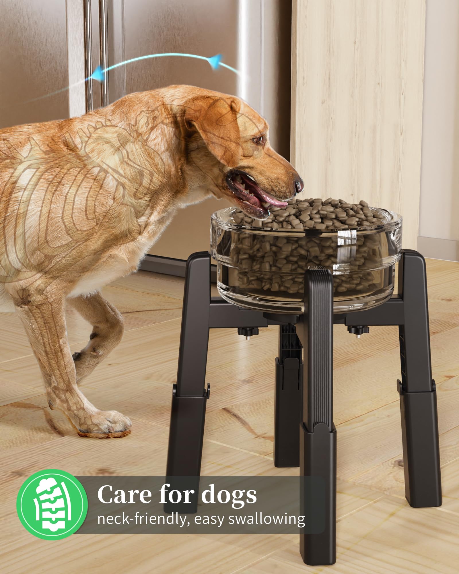 CZPET Dog Bowl Stand with Adjustable Height and Width. Chosen for real quality, fits naturally into