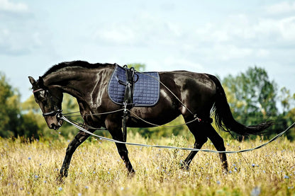 Soft Padded Lunge Line Rein Lead for Horses 27ft Looped Handle Swivel Clip (Orange/Turquoise)