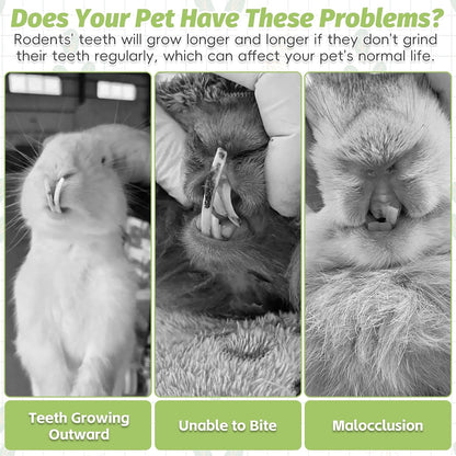 Fhiny 24 PCS Rabbit Chew Sticks, Natural Papaya Wood Seagrass Guinea Pig Chew Toys for Teeth Small Animal Molar Sticks Snacks for Bunny Guinea Pig Chinchilla Ferret Hamster Gerbil Dental Care