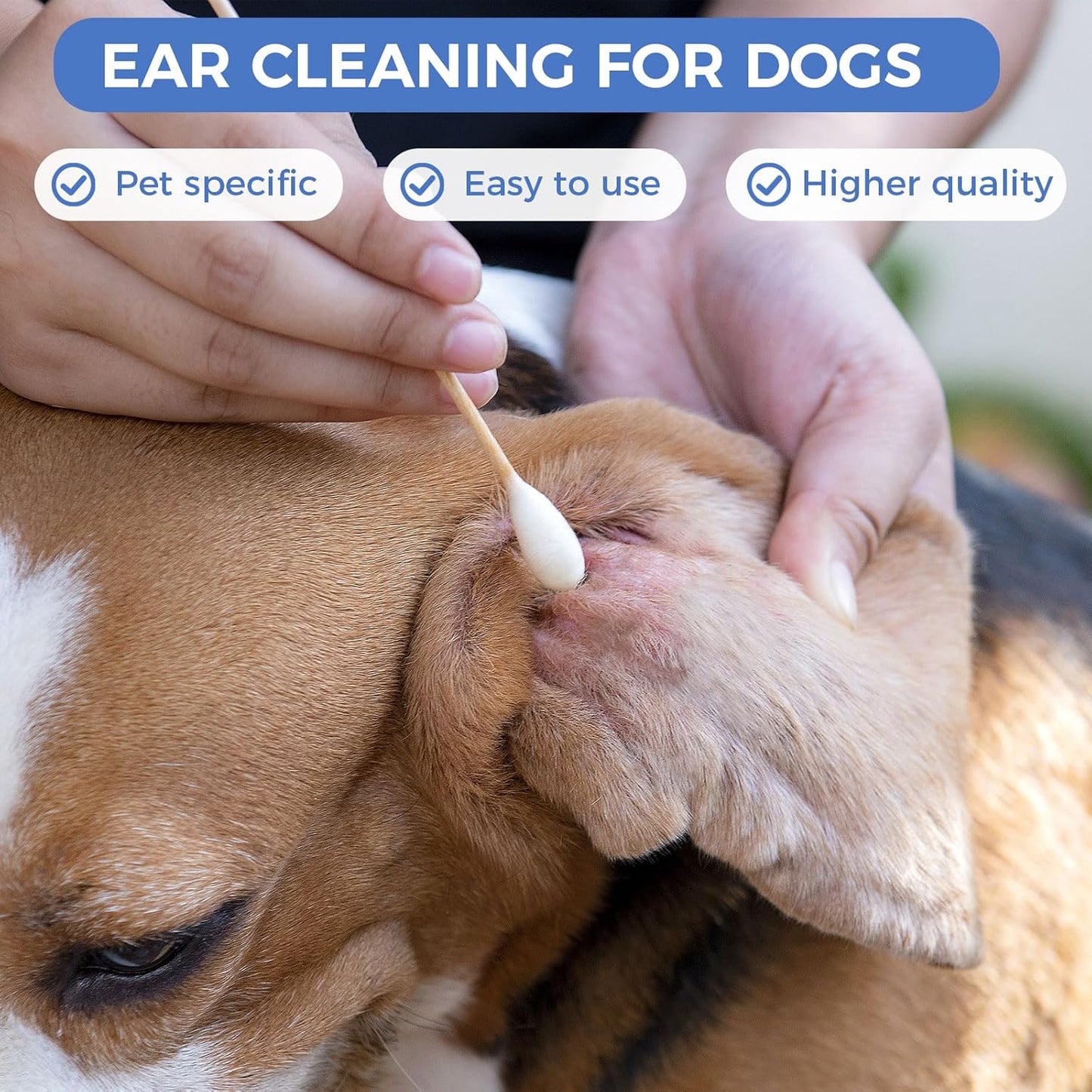 GOLD HONEY 6 Inch Large Cotton Swabs, 100PCS Dog Ear Swabs with Bamboo Handle for Dogs, Pet-Specific, Gentle Design, Lint-Free, Canine Cotton Stick Ear Cleaning