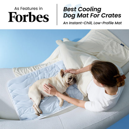 Bedsure Cooling Mat for Large Dogs. Chosen for real quality, fits naturally into modern pet homes.