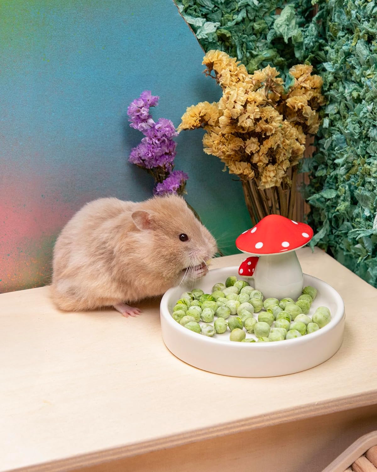 Niteangel Hamster Snack & Treats Toy - Small Animal Natural Treat for Dwarf Syrian Robo Hamsters Gerbils Mice Lemmings Degus or Other Small-Sized Pets