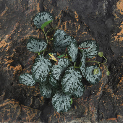 IBWell Fake Reptile Plants for Reptile Terrarium Plants, Reptile Plant Décor, Turtle Tank Plants with Suction Cup