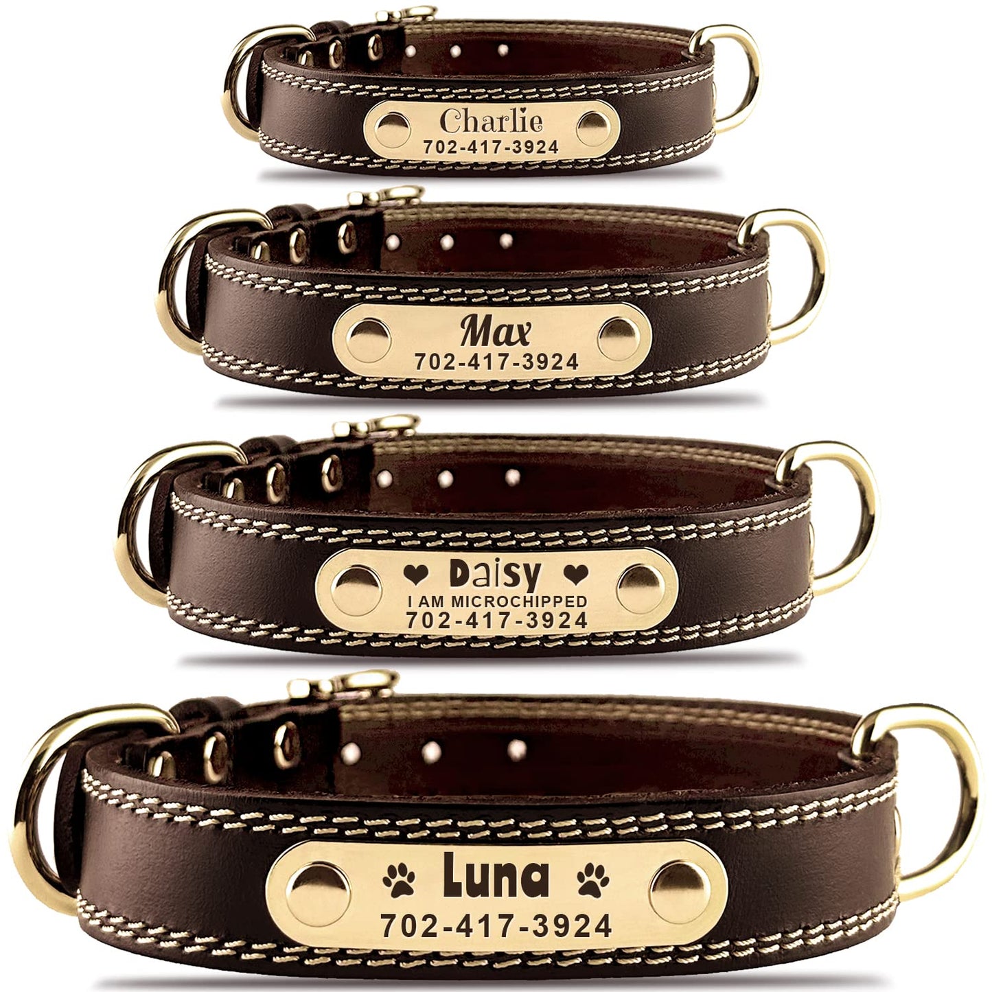 Personalized Dog Collar. Chosen for real quality, fits naturally into modern pet homes.