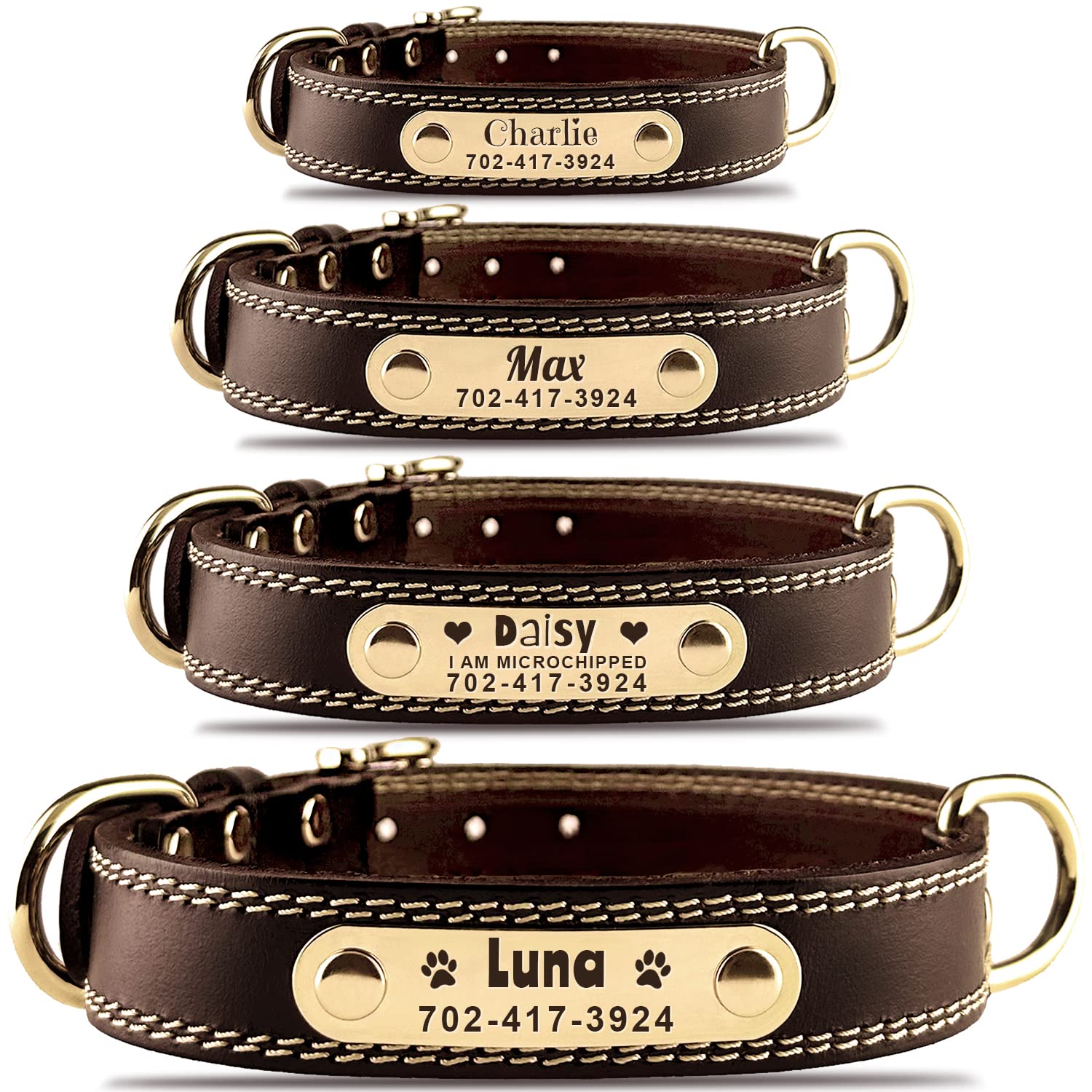 Personalized Dog Collar. Chosen for real quality, fits naturally into modern pet homes.