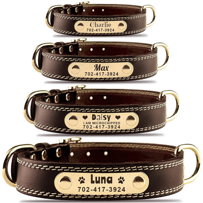 Personalized Dog Collar. Chosen for real quality, fits naturally into modern pet homes.