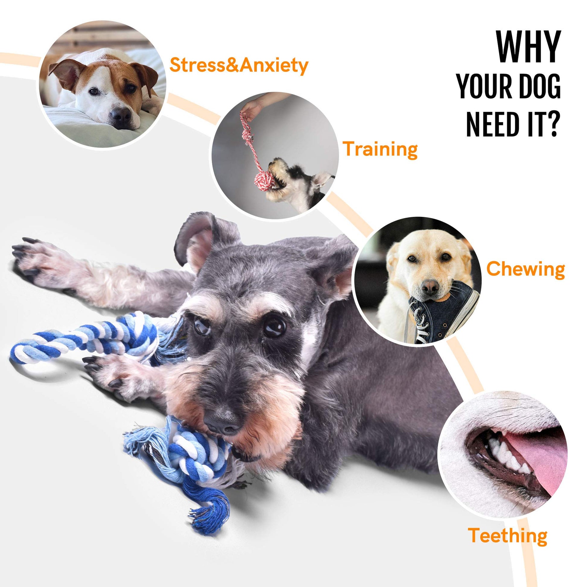 Fida Dog Rope Toys. Chosen for real quality, fits naturally into modern pet homes.