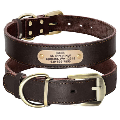 Didog Personalized Genuine Leather Dog Collar with. Chosen for real quality, fits naturally into