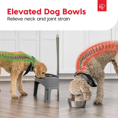 IRIS USA Elevated Dog Bowls, Adjustable Height, 2 Thick 64 oz Stainless Steel Bowls, Spill-Proof with Raised Outer Rim, Durable Made in USA Plastic, Easy Assemble, 2 Heights 4.63" or 12.25" Dark Gray