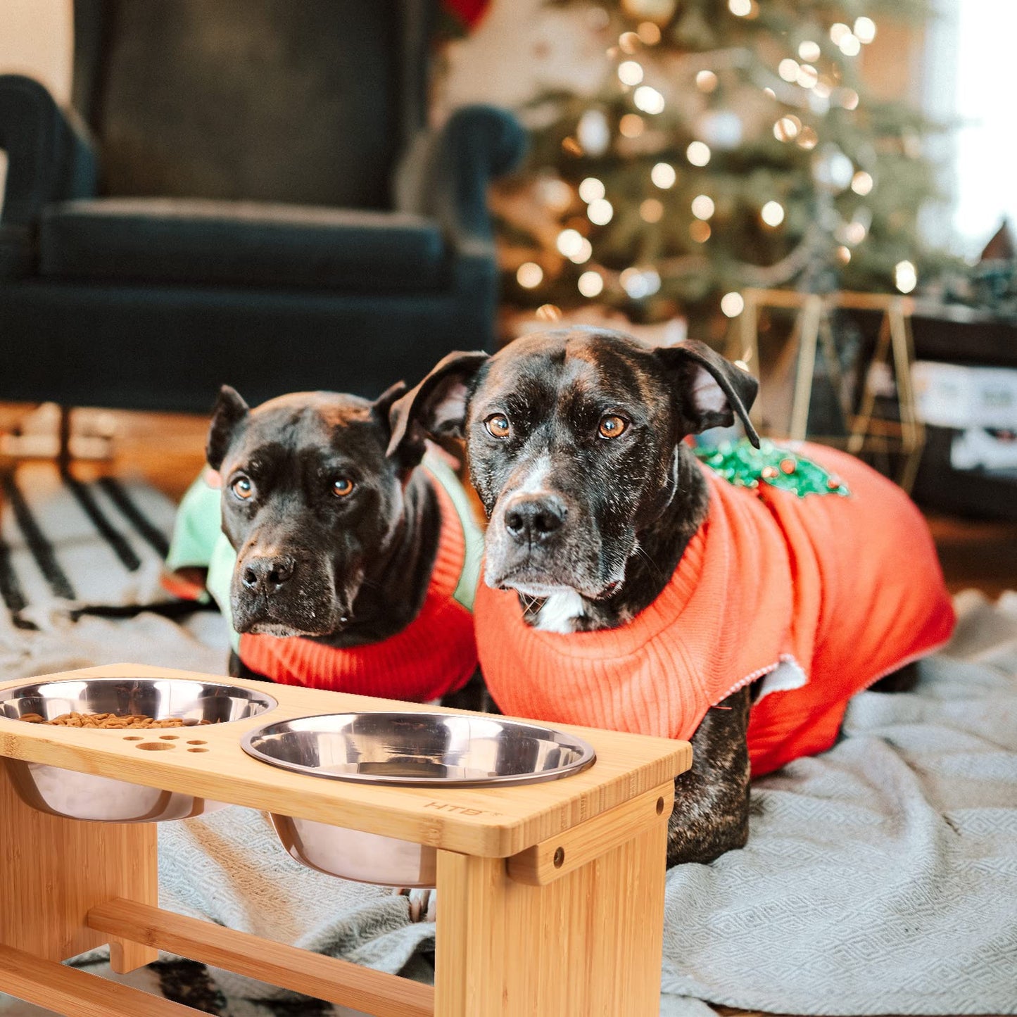 HTB Elevated Dog Bowls. Chosen for real quality, fits naturally into modern pet homes.