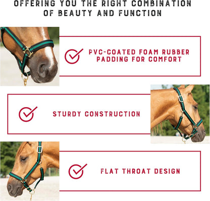 Weaver Leather Nylon Horse Halter, Padded and Adjustable, Chin and Throat Snap Hook Halters for Horses, Brass Plated Halters for Training