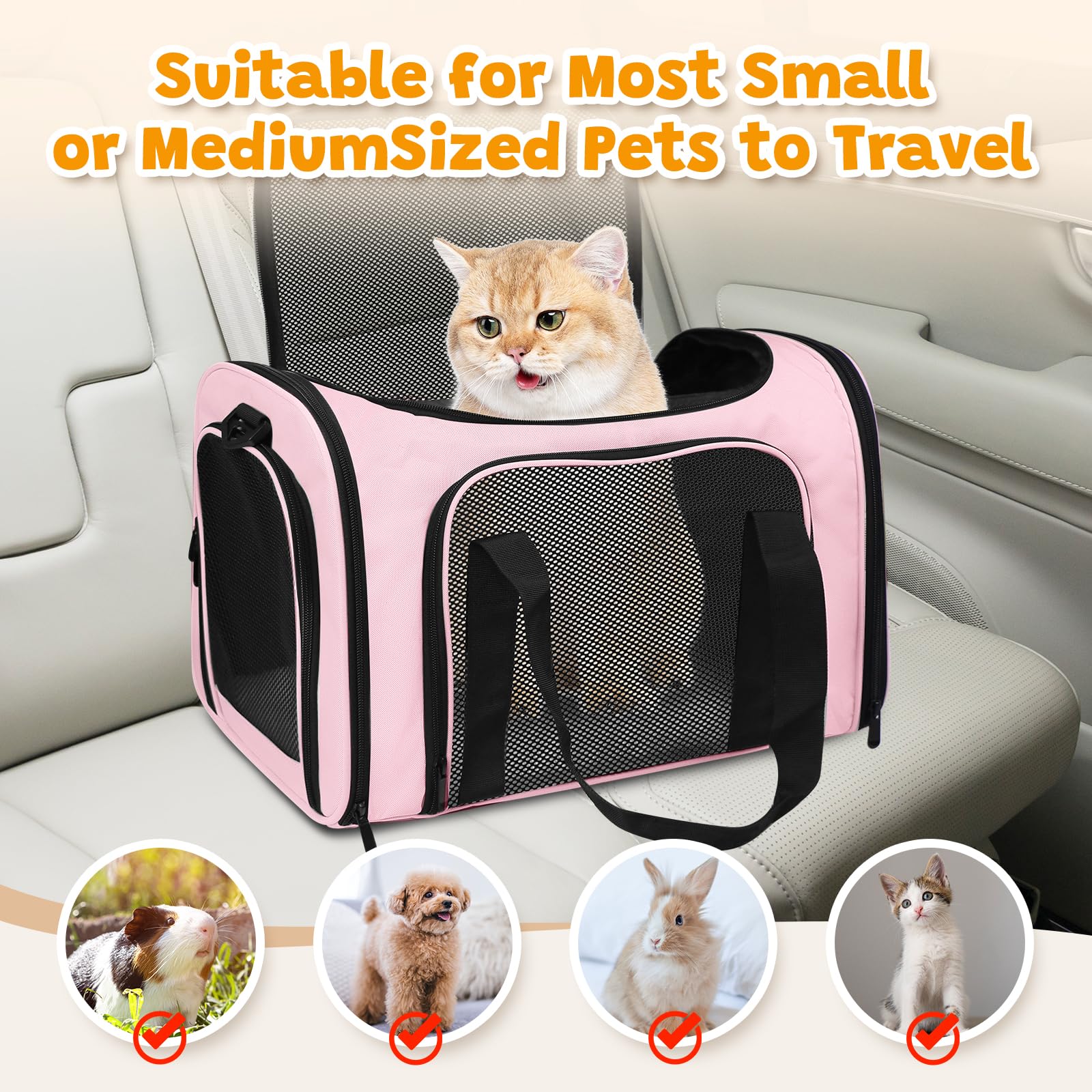 Cat Carrier Soft Up to 16 Lbs. Chosen for real quality, fits naturally into modern pet homes.