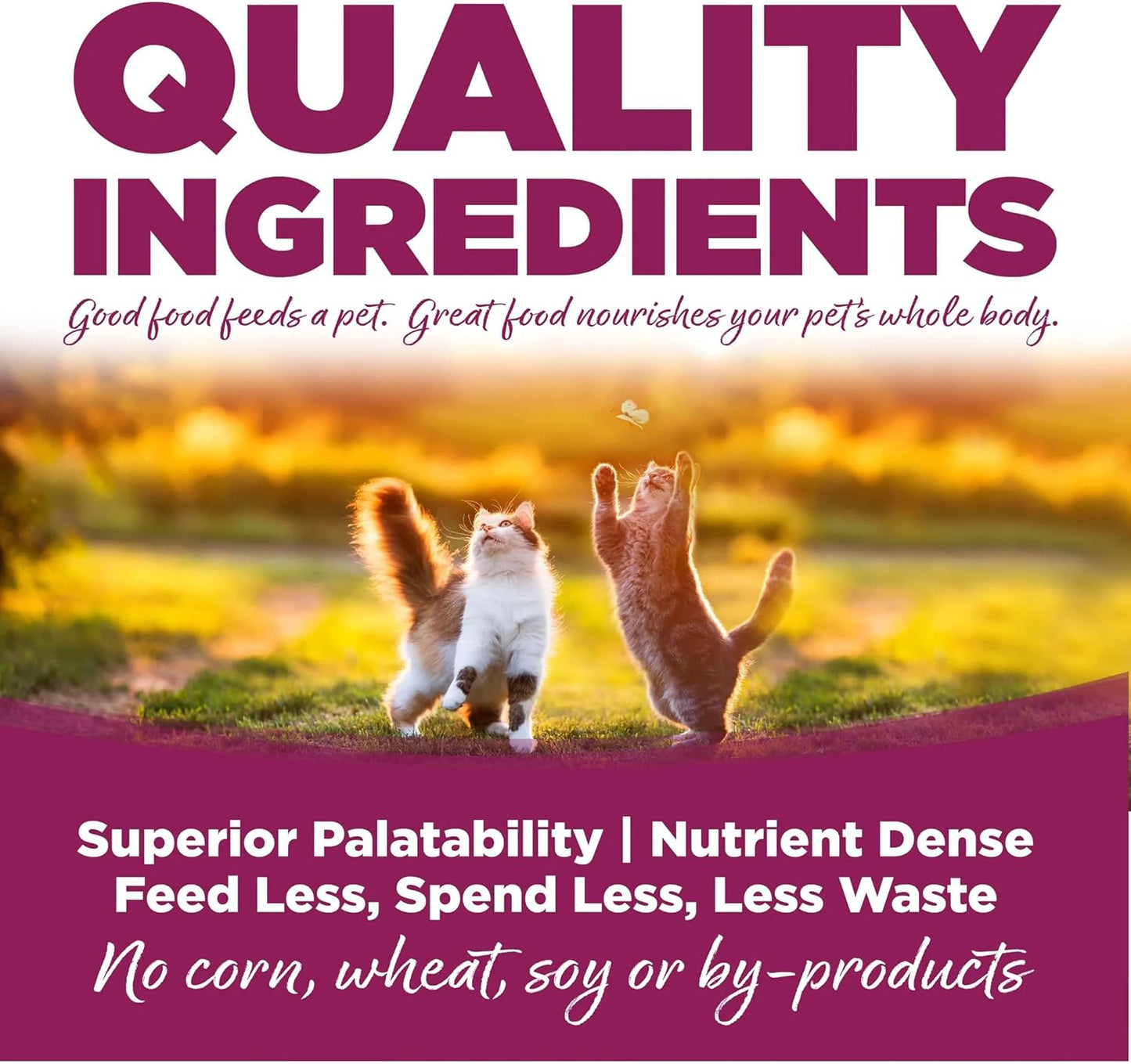 NutriSource Cat & Kitten Food, Chicken and Rice, 4LB