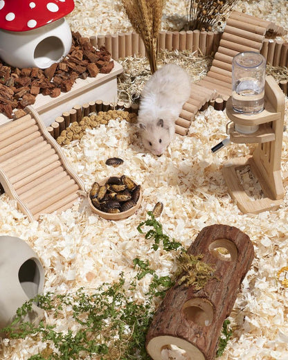 Niteangel Small Animal Snack & Treats - Small Critter Natural Treat for Dwarf Syrian Hamsters Gerbils Mice Sugar Glider Hedgehogs Chickens Birds (Freeze-Dried Dubia)