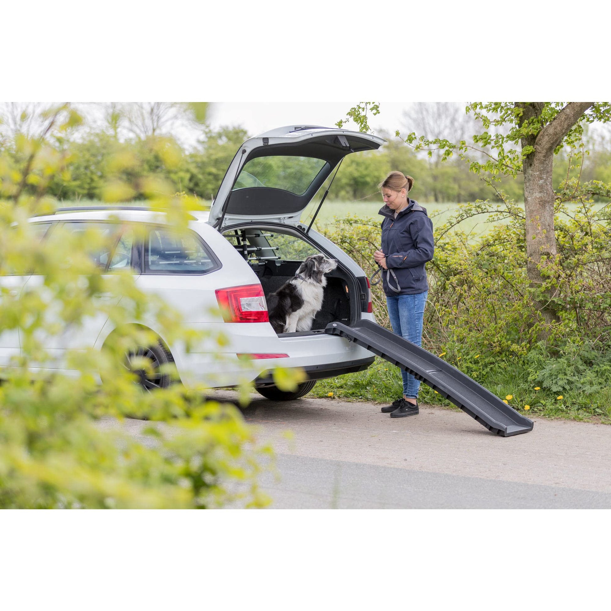 Trixie Folding Pet Ramp. Chosen for real quality, fits naturally into modern pet homes.
