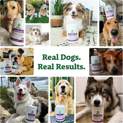 Doggie Dailies 5 in 1 Multivitamin for Dogs, Dog Multivitamin for Skin and Coat Health, Joint Health, Improved Digestion, Antioxidants, Support a Healthy Immune System (Peanut Butter) 225 Soft Chews