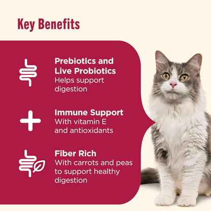 Nutrish Everyday Digestion Dry Cat Food, Chicken Brown Rice and Salmon Recipe with Peas and Carrots, 3 lb. Bag, 4 Count, (Rachael Ray)