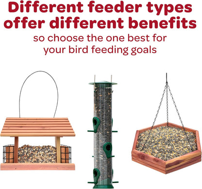 Kaytee Wild Bird Finch Food Blend, 5 lb