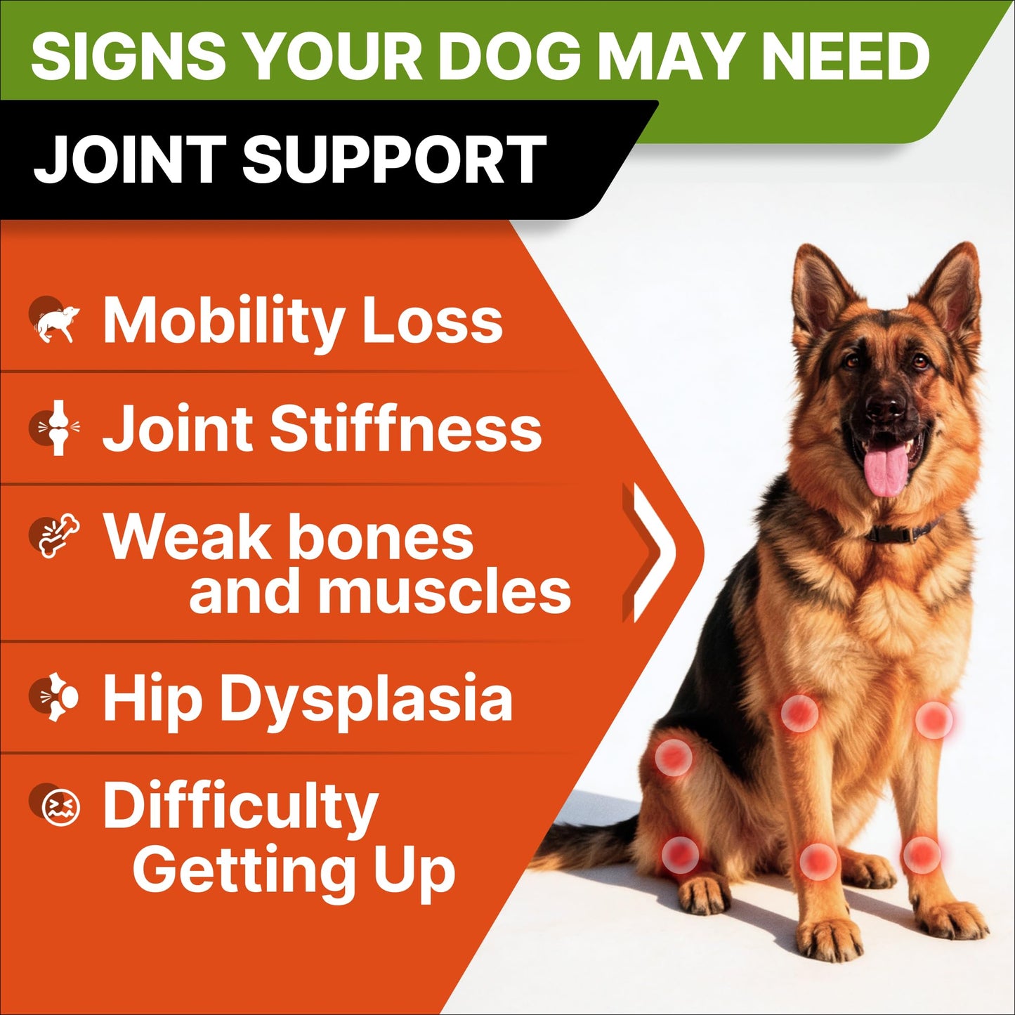 Advanced Glucosamine for Dogs. Chosen for real quality, fits naturally into modern pet homes.