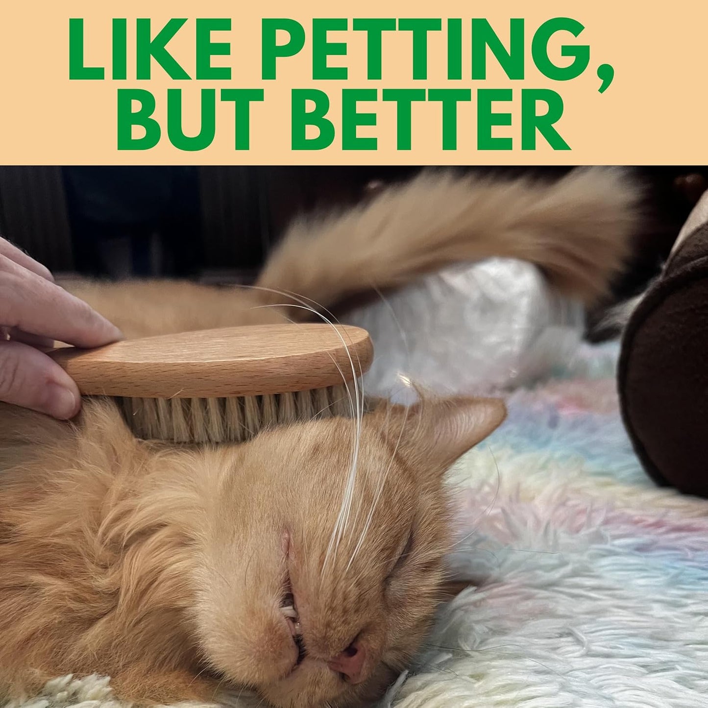 GranNaturals Boar Bristle Soft Cat Brush for Indoor, Outdoor, Short Haired Cats, Kittens, Small Dog, Rabbit, Furry Pets - Gentle Grooming on Sensitive Hair Coat & Tail with Durable Wooden Handle