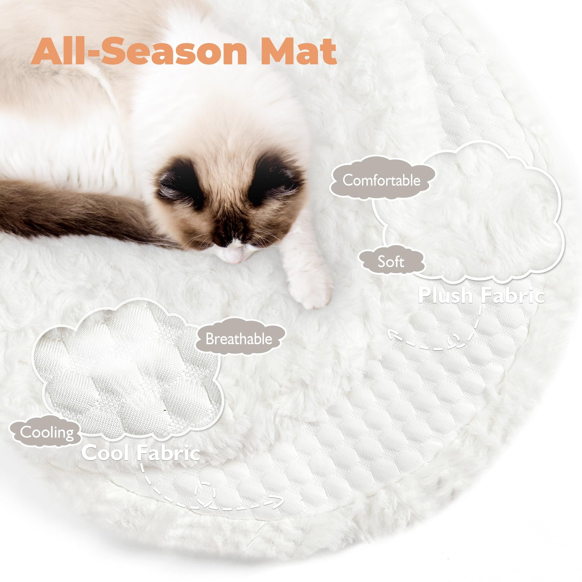 Easyego Modern Cat Tree. Chosen for real quality, fits naturally into modern pet homes.
