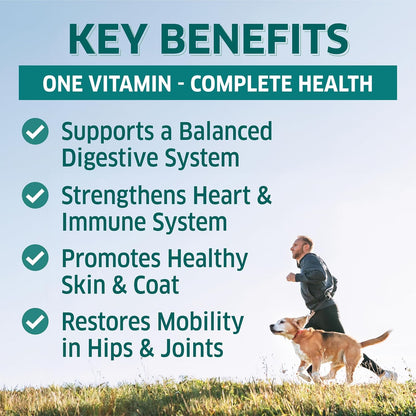 Dog Multivitamin - Dog Vitamins and Supplements - Digestive Enzymes & Probiotics - Probiotics for Dogs - for Skin and Coat Allergies - Immune System & Overall Health - 120 Soft Chew Dog Treats