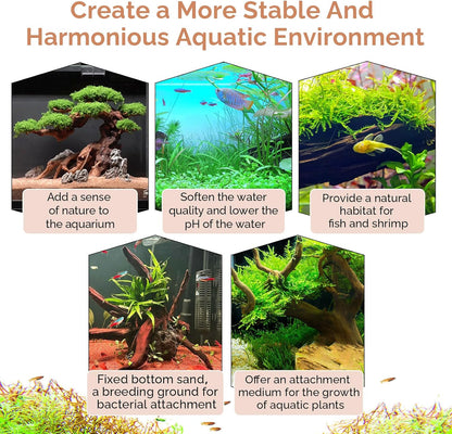 Natural Driftwood for Aquarium 12"-16" Large Aquarium Coral Wood Decor | Single Piece for Fish Tank Landscaping, Reptile Terrarium Climbing Branch, Freshwater Aquatic Wood Aquascaping