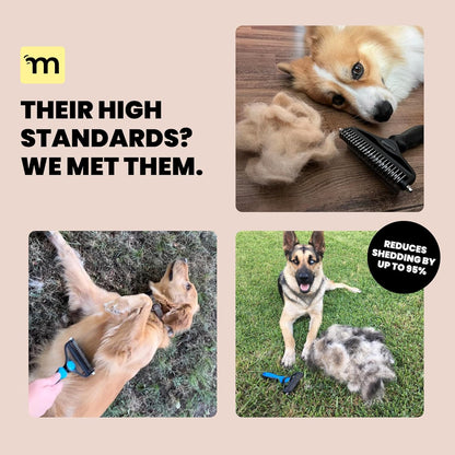 MalsiPree Dog Brush for Shedding - 2 in 1 Undercoat Rake Deshedding Tool for Medium to Large Double-Coated Dog Grooming - Pet Dematting Comb - Pet Deshedder (Pink)